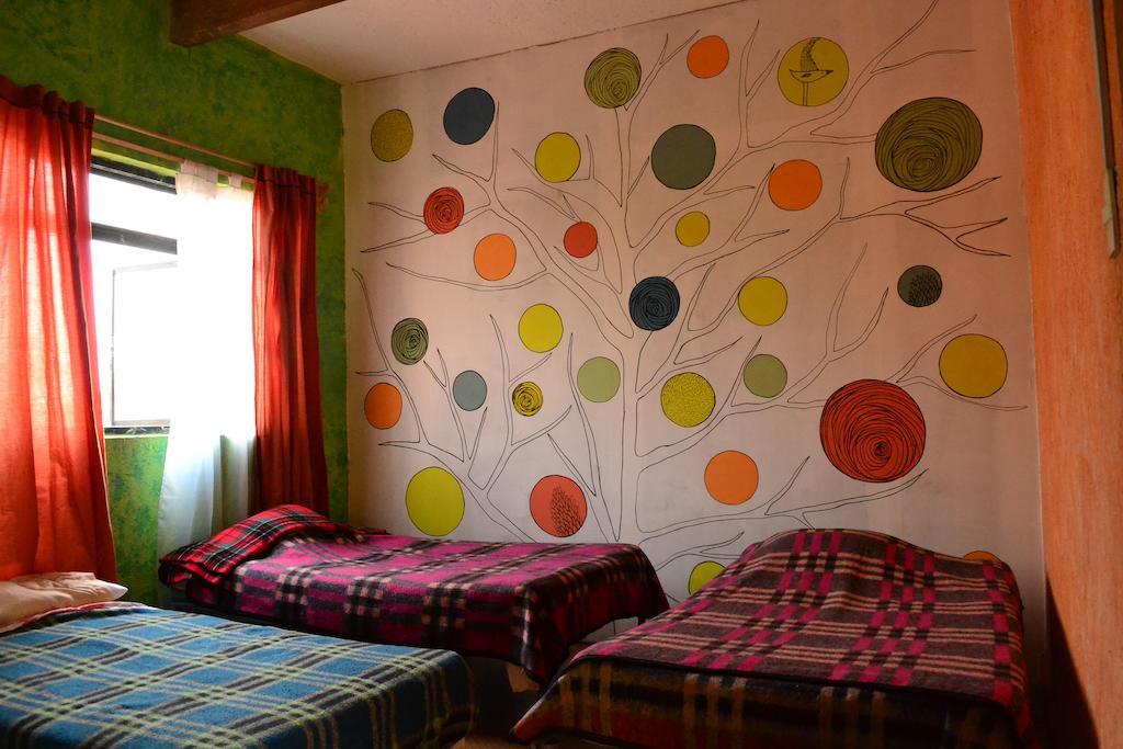 Chill Hostel Mexico City Room photo